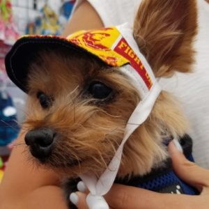 Dog Hat – SF 49ers Sports Fabric