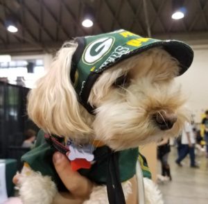 GB Packers Dog Hat