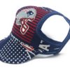 Patriots Dog Hat 2A