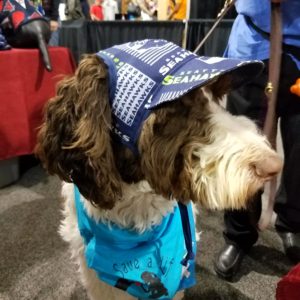 Dog Hat – Chicago Bears Sports Fabric