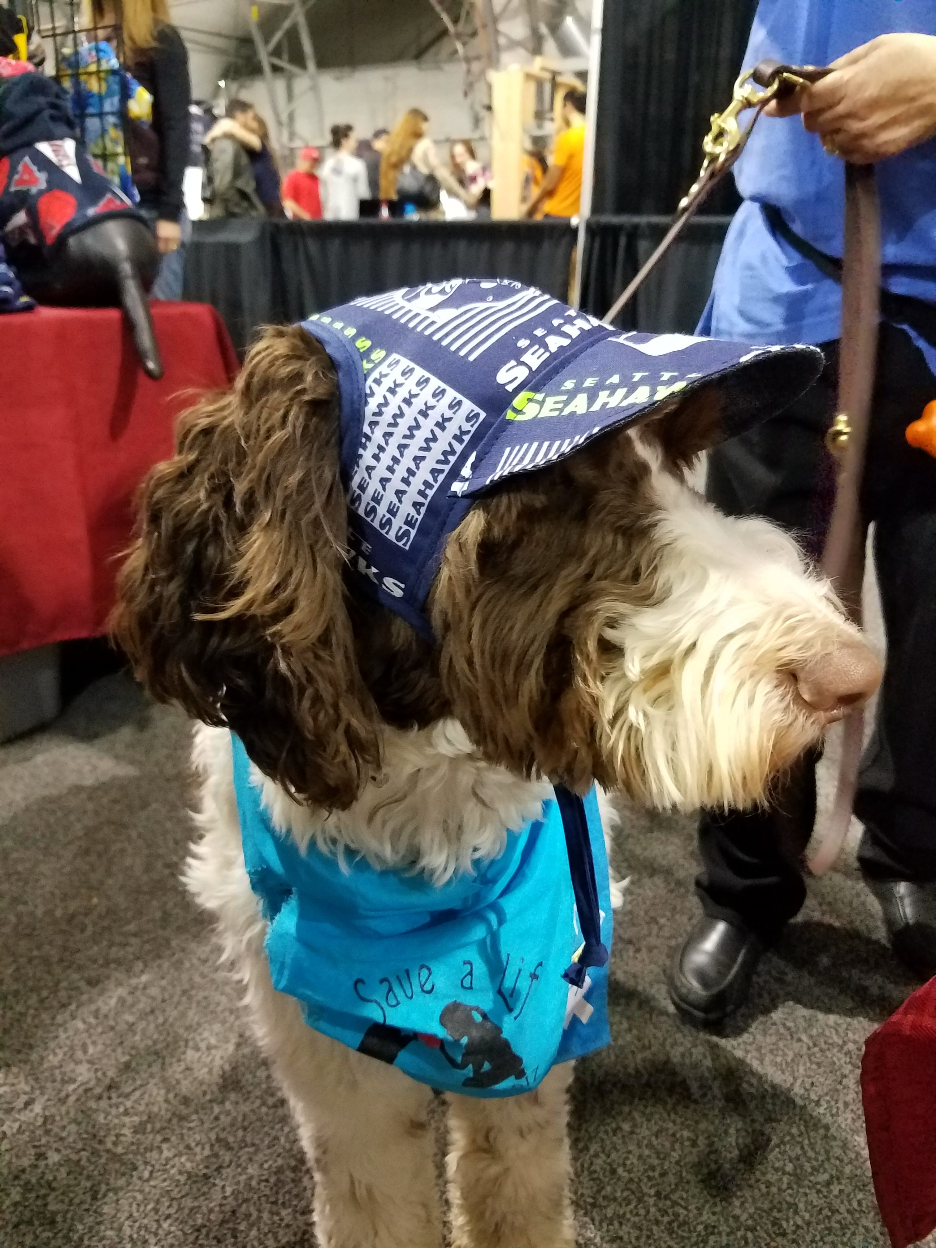 chicago cubs dog costume