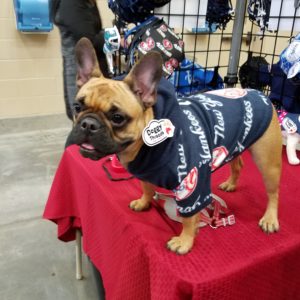 Dog Hoodie – NY Yankees Sports Fleece Fabric