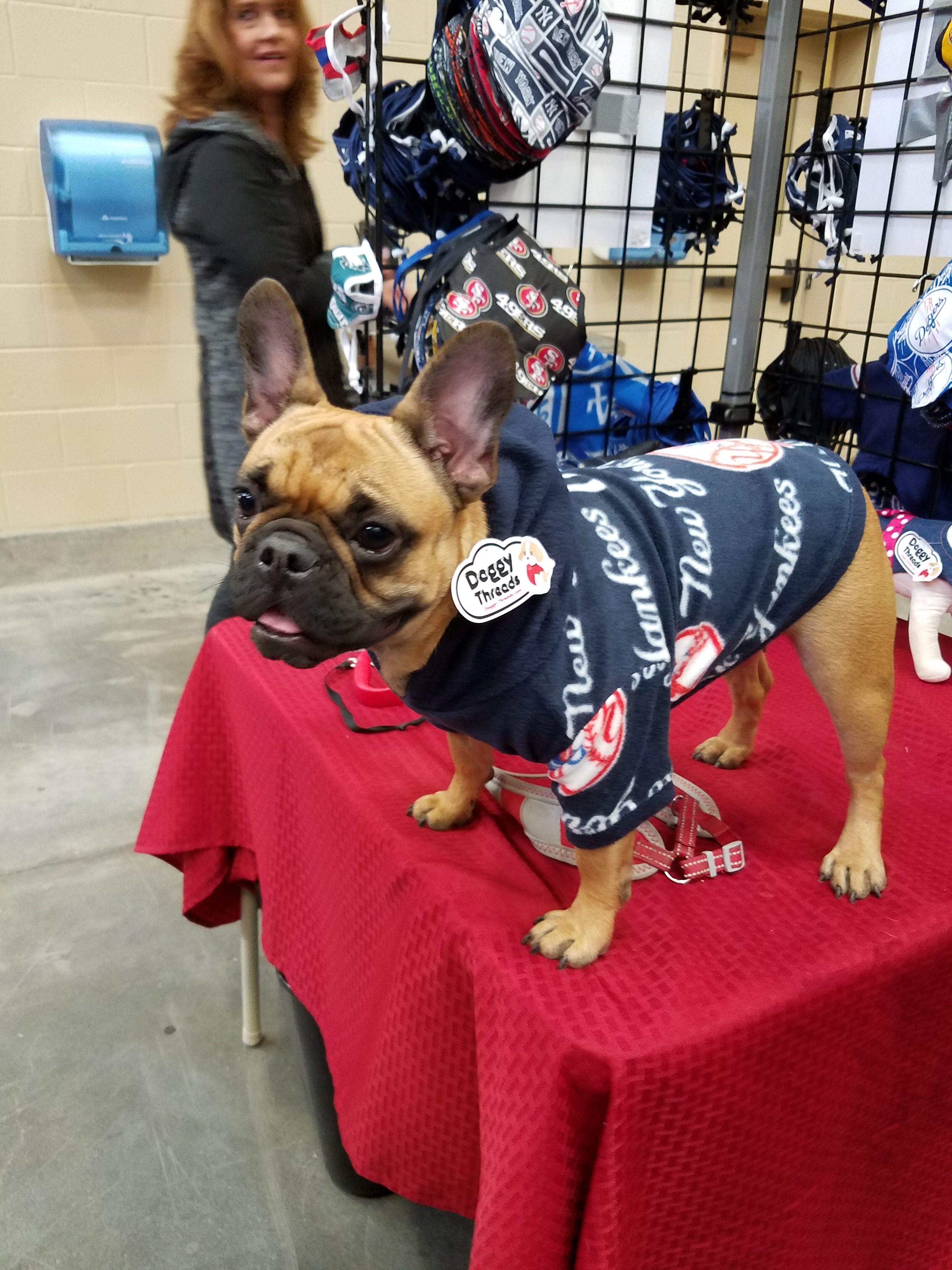 Dog Hoodie - NY Yankees Sports Fleece Fabric - Doggy Threads