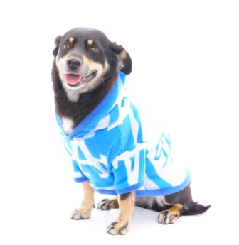 Dog Hoodie - LA Dodgers Sports Fleece Fabric - Doggy Threads