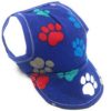 Blue Pawsome Dog Hat