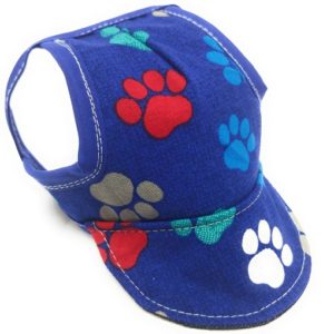 Dog Hat – Blue Pawsome