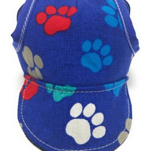 Dog Hat – Blue Pawsome