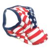 Stars N Stripes Hat