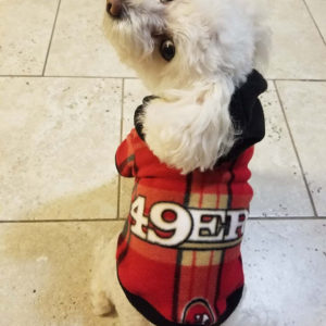 Dog Hoodie – SF 49ers Sports Fleece Fabric